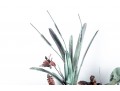 Large Botanical Metal Sculpture