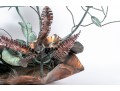 Large Botanical Metal Sculpture