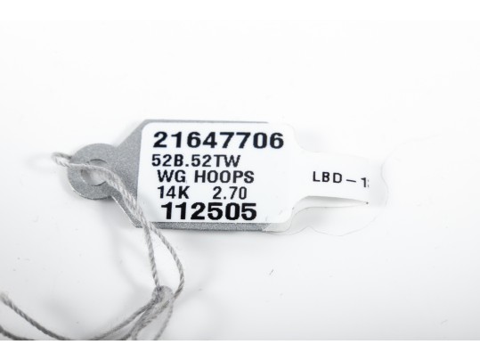 14k White Gold Diamond Hoop Earrings