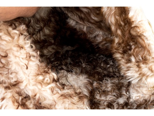 Dolce & Gabbana Golden Sheepskin And Shearling Hobo Bag