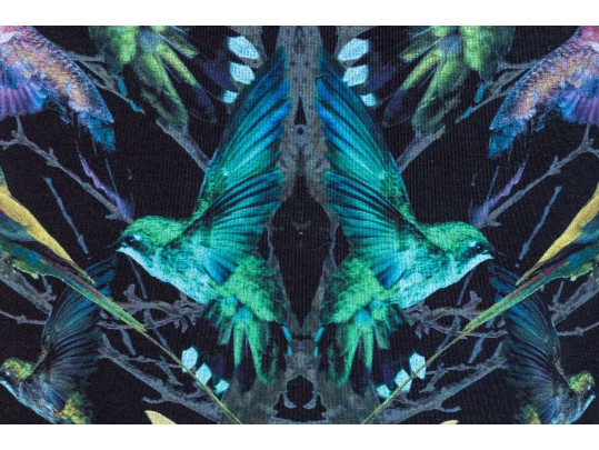 Alexander McQueen Black Bird Design Dress, Size XL