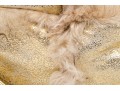 Dolce & Gabbana Golden Sheepskin And Shearling Hobo Bag