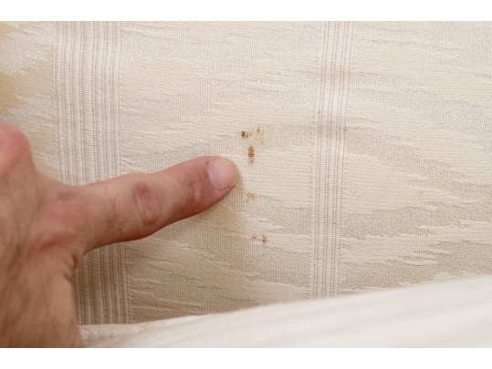 Mid 20th Century French Provincial Wingback Chair