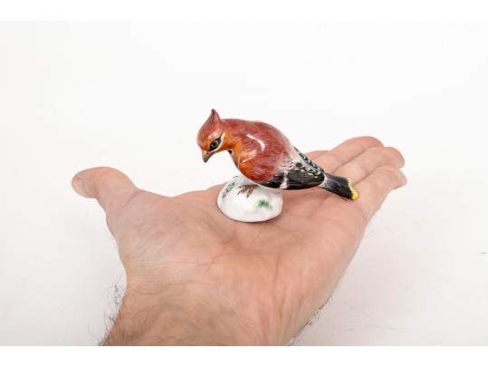 German, Meissen Hand Painted Porcelain Cardinal Bird