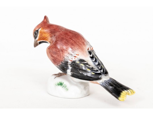 German, Meissen Hand Painted Porcelain Cardinal Bird