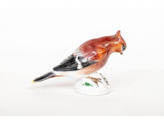 German, Meissen Hand Painted Porcelain Cardinal Bird