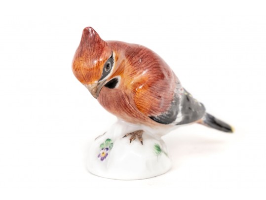 German, Meissen Hand Painted Porcelain Cardinal Bird
