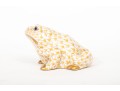 Herend, Hungarian Hand Painted Frog