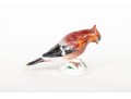 German, Meissen Hand Painted Porcelain Cardinal Bird