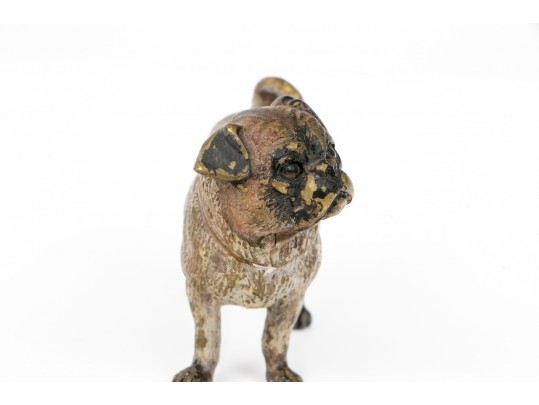 Cold Painted Bronze Of A Bull Dog
