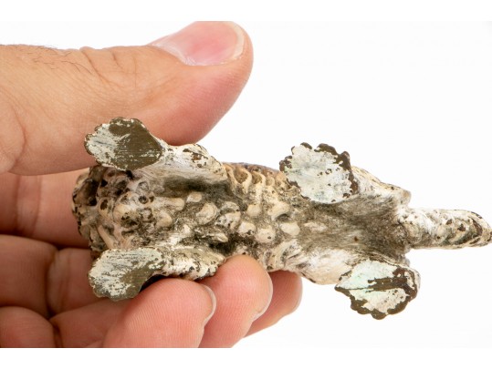 Antique Vienna Bronze Cold Painted Spaniel Figure