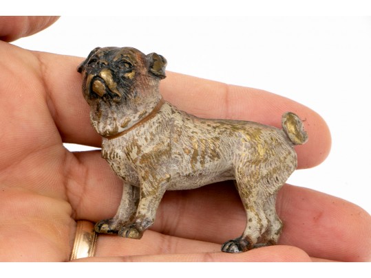 Cold Painted Bronze Of A Bull Dog