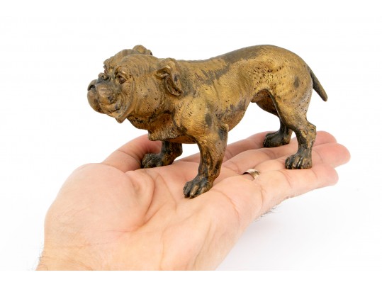 Cold Painted Vienna Bronze Figure Of A Bull Dog