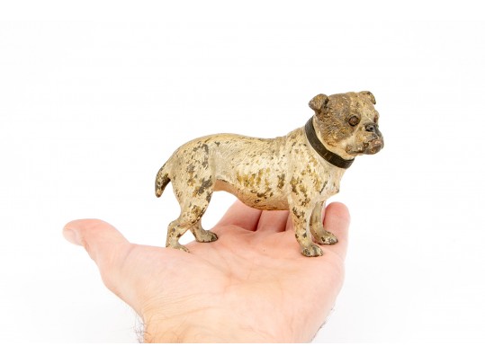 Cold Painted Bronze Chunky Bull Dog Figure