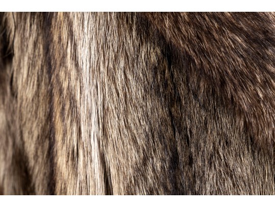 Revillon Hooded Fur Coat