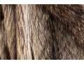 Revillon Hooded Fur Coat