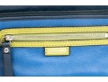 Tasteful Blue And Green Coach Clutch