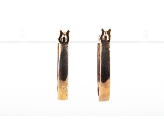 Sterling Vermeil Moissanite And CZ Hoop Earrings