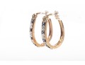 Sterling Vermeil Moissanite And CZ Hoop Earrings