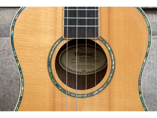 Gorgeous Guitar And Ukulele Duo