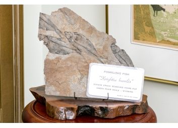 Black Rock Galleries