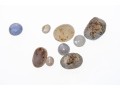 Loose Stones: Nine Sapphires, White To Pale Blue, 28.33 TCW