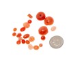 Loose Stones: 25 Coral Beads And Pieces, 203 TCW