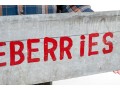 Painted Gray Metal Sign- Huckleberries