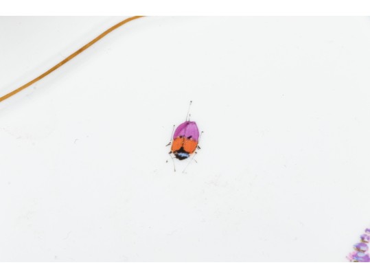 Elegant Meissen Floral And Gold Gilt Platter