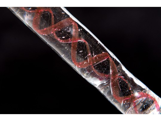 Two Antique Spiral Stem Cordial Glasses