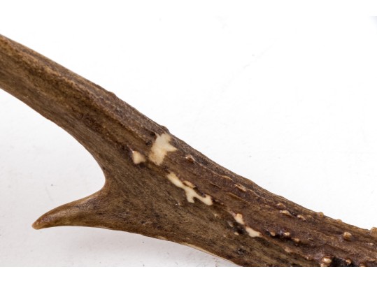 Unusual Antique French Stag Handle And Bamboo Sword Cane