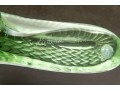Lalique, France Charming Green Textured Glass Lizard Figure