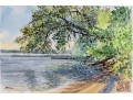 William L. Drake (1929-2019) Watercolor On Paper Roches Point Ontario - Unframed 