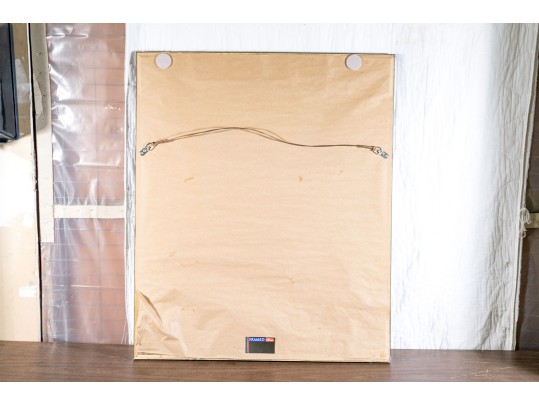 2010 Fifa World Cup South Africa Framed Poster