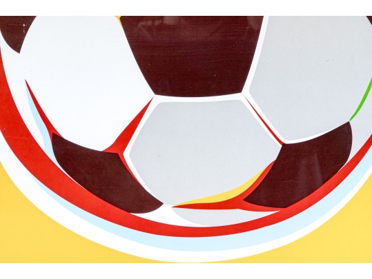 2010 Fifa World Cup South Africa Framed Poster