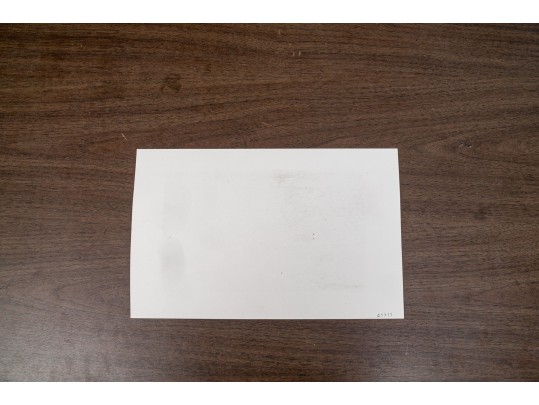 James Rizzi (American, 1950-2011) Serigraph