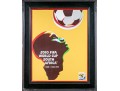 2010 Fifa World Cup South Africa Framed Poster