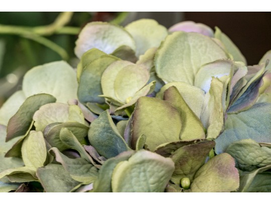 Decorative Collection Of 7 Mixed Media Vases