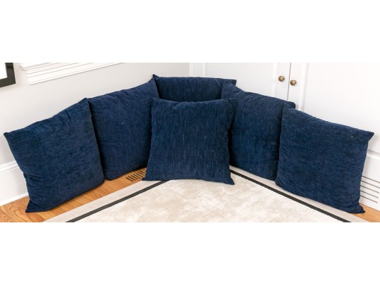 6 Down Filled Blue Accent Pillows