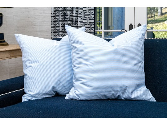 Blue & White Stripe 26