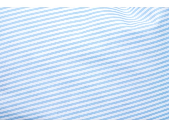 Blue & White Stripe 26