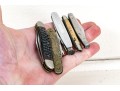 Collection Of 5 Antique / Vintage Pocket Knives