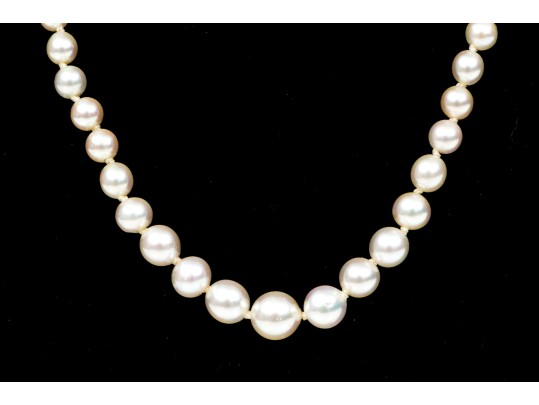 Lovely Vintage Graduated Cultured Pearl Necklace, Finished With A 14k Yellow Gold Clasp