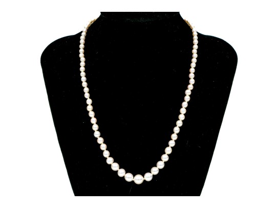 Lovely Vintage Graduated Cultured Pearl Necklace, Finished With A 14k Yellow Gold Clasp