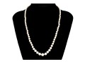 Lovely Vintage Graduated Cultured Pearl Necklace, Finished With A 14k Yellow Gold Clasp