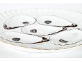 Registrirt Porcelain Oyster Plates