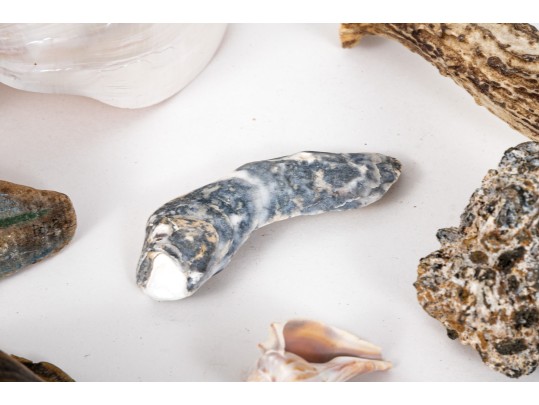 Eclectic Decorative Collection Of 12 Shell, Horn And Stone Items