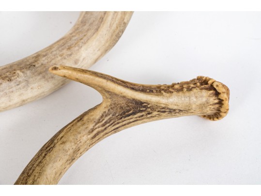 Eclectic Decorative Collection Of 12 Shell, Horn And Stone Items