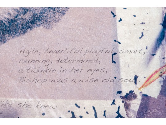 Collection Of 2 Sheepdog Artworks