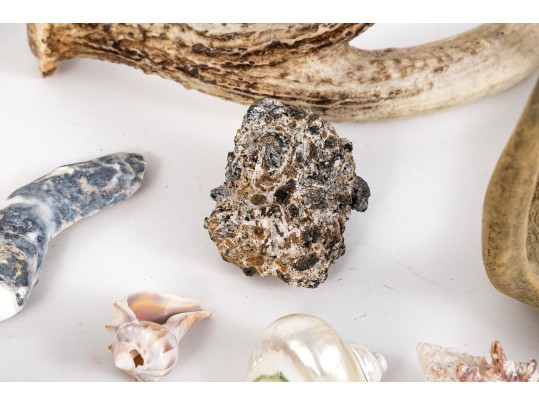 Eclectic Decorative Collection Of 12 Shell, Horn And Stone Items